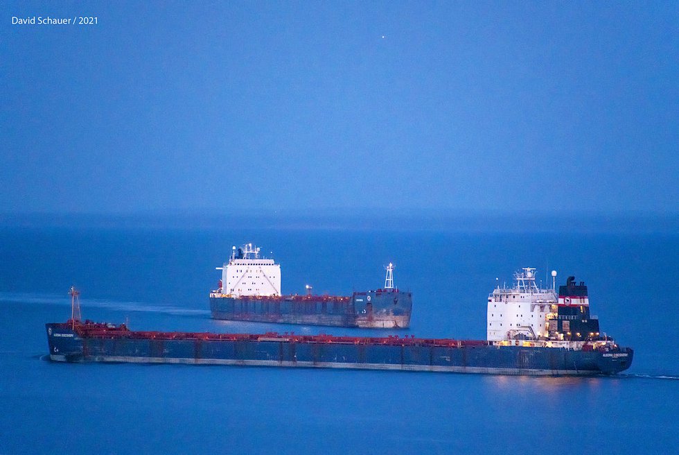 Algoma Central bulk carriers