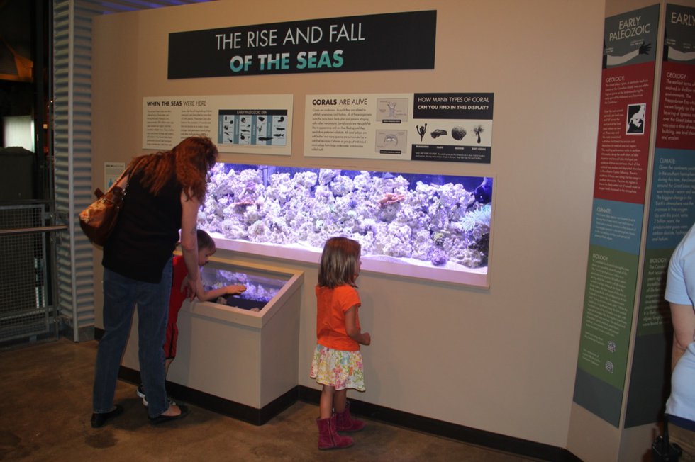 Great Lakes Aquarium's New Exhibit