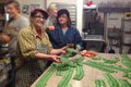 Great! Lakes Candy Kitchen in Knife River