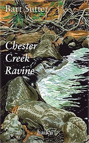 Chester Creek Ravine