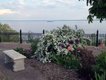 Visit Duluth - Duluth Rose Garden