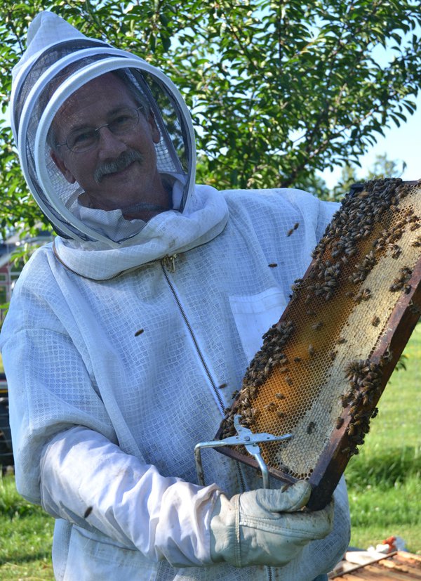 The Bee’s Knees: Local Couple Adopts a Healthful Honey of a Hobby