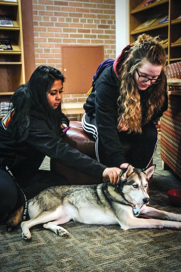 Therapy Dogs Bring Comfort to Others