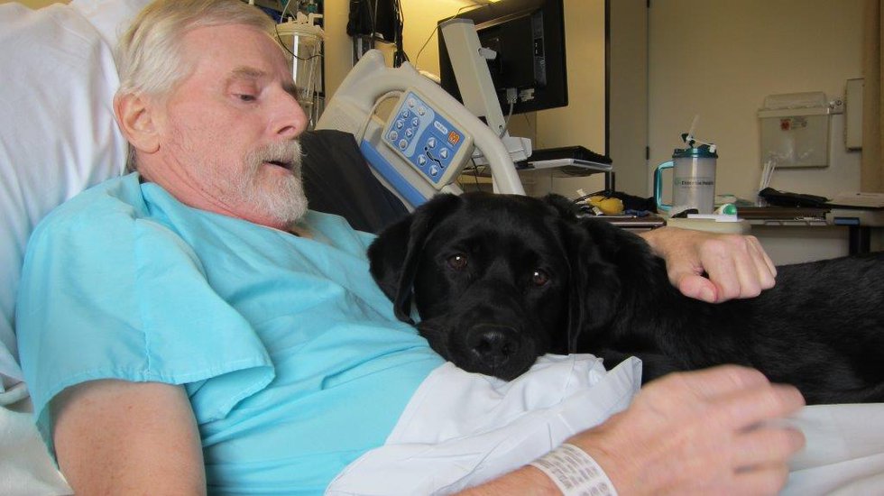 Essentia Health Staff Reunite Patient with Service Dog