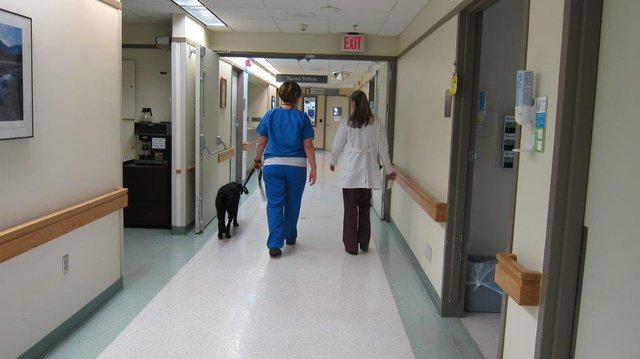 Essentia Health Staff Reunite Patient with Service Dog