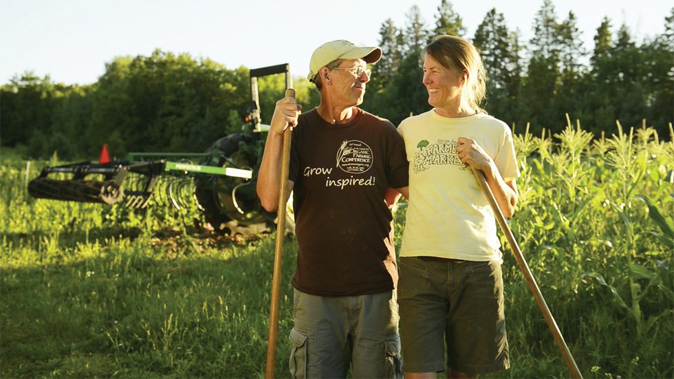 Community Supported Agriculture: Edible Profits for Investors in Our Local Food