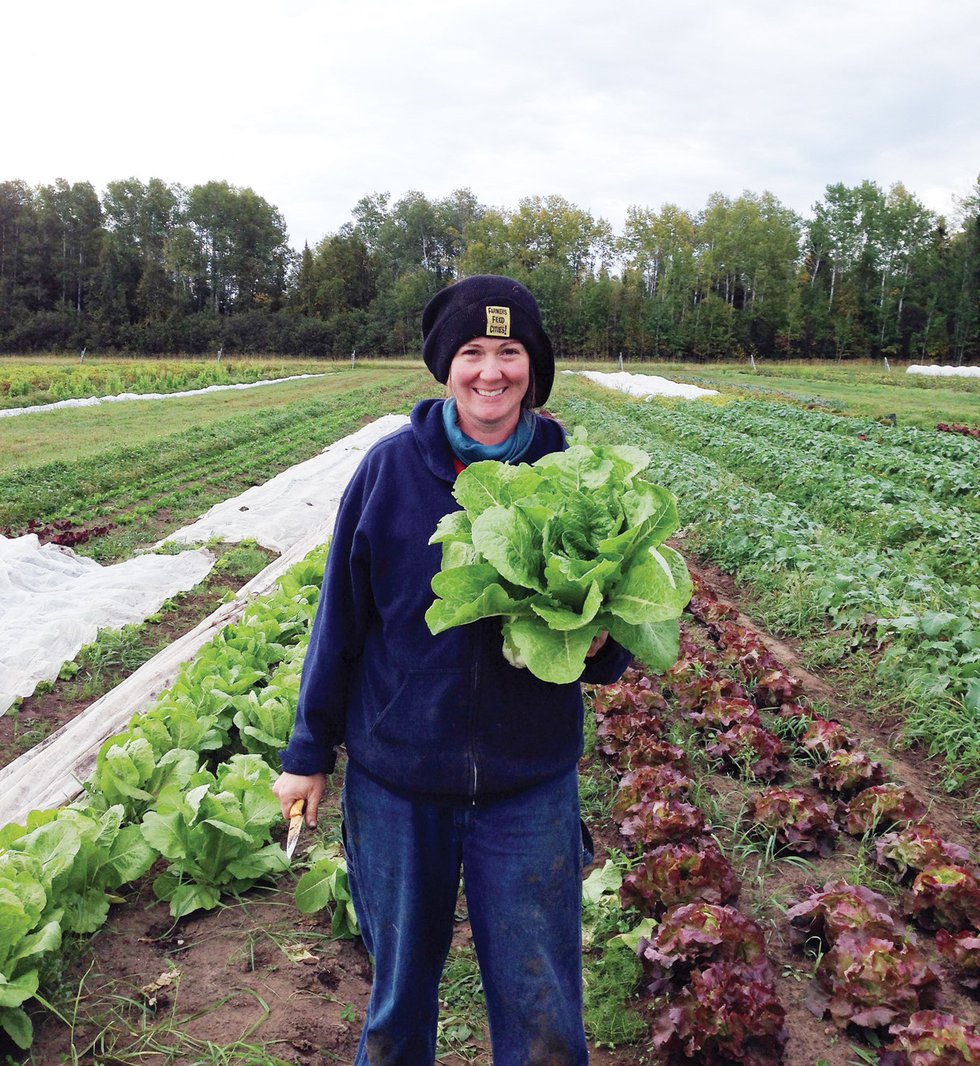 Community Supported Agriculture: Edible Profits for Investors in Our Local Food