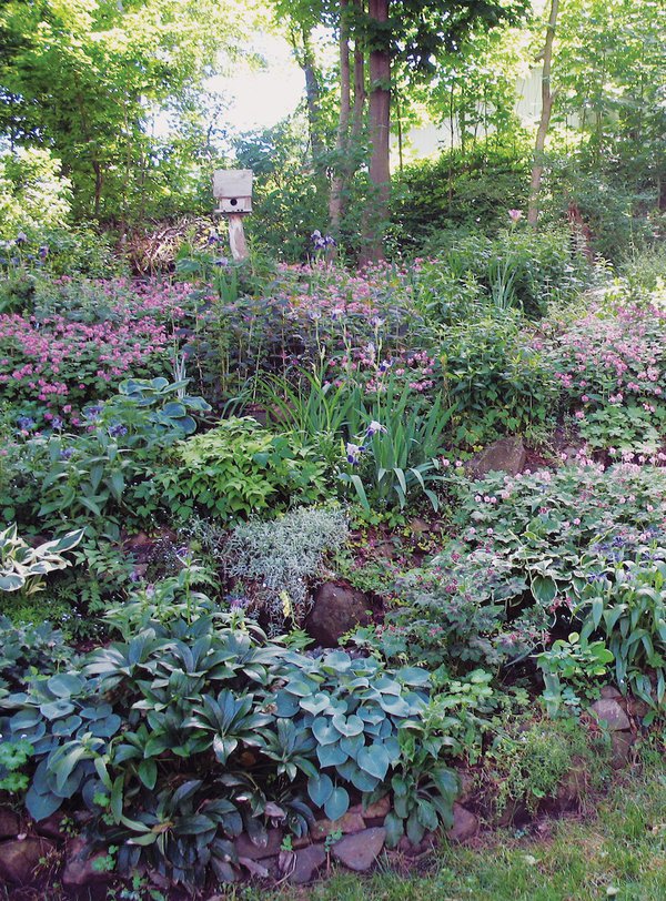 Five Favorite Keweenaw Gardens
