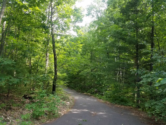 Fire Tower Road